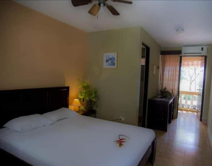 Bed and Breakfast House Of The Macaws Tárcoles Exterior foto